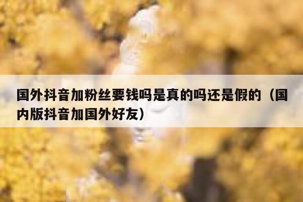 国外抖音加粉丝要钱吗是真的吗还是假的（国内版抖音加国外好友） 第1张