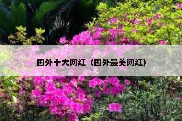国外十大网红（国外最美网红） 第1张