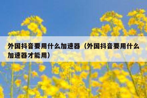 外国抖音要用什么加速器（外国抖音要用什么加速器才能用） 第1张