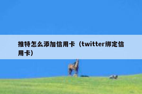 推特怎么添加信用卡（twitter绑定信用卡） 第1张