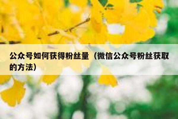公众号如何获得粉丝量（微信公众号粉丝获取的方法） 第1张