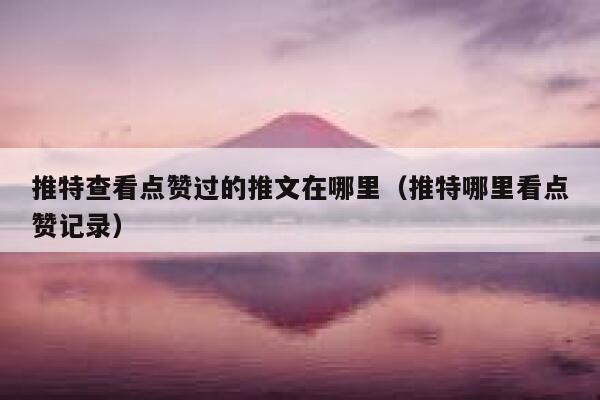 推特查看点赞过的推文在哪里（推特哪里看点赞记录） 第1张