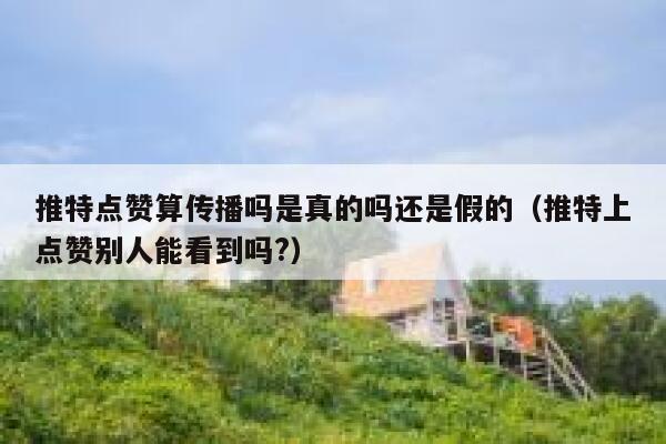 推特点赞算传播吗是真的吗还是假的（推特上点赞别人能看到吗?） 第1张