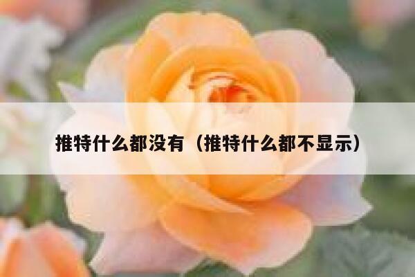 推特什么都没有（推特什么都不显示） 第1张