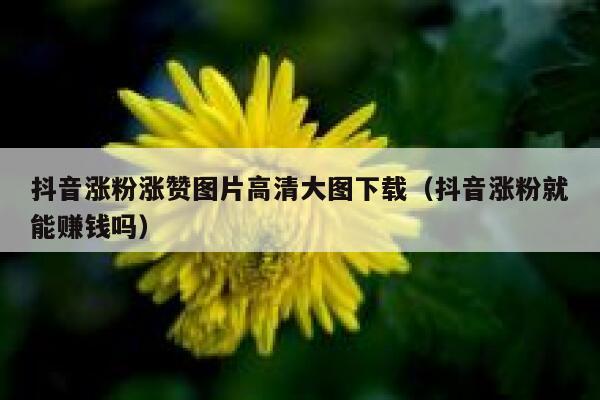 抖音涨粉涨赞图片高清大图下载（抖音涨粉就能赚钱吗） 第1张