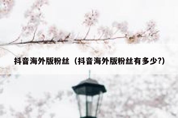 抖音海外版粉丝（抖音海外版粉丝有多少?） 第1张