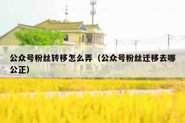 公众号粉丝转移怎么弄（公众号粉丝迁移去哪公正） 第1张