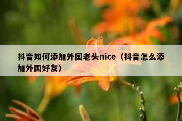 抖音如何添加外国老头nice（抖音怎么添加外国好友） 第1张