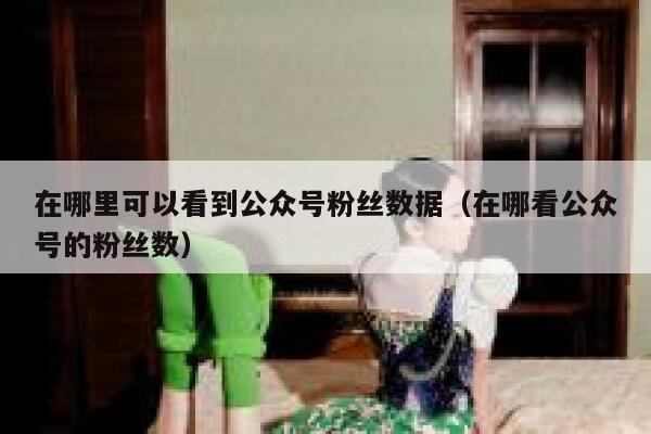 在哪里可以看到公众号粉丝数据（在哪看公众号的粉丝数） 第1张