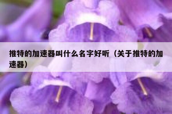 推特的加速器叫什么名字好听（关于推特的加速器） 第1张