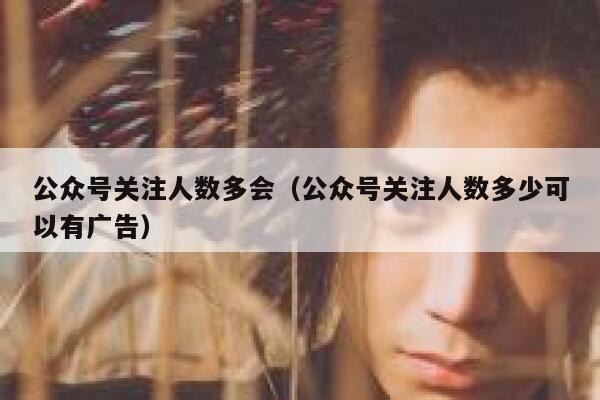 公众号关注人数多会（公众号关注人数多少可以有广告） 第1张