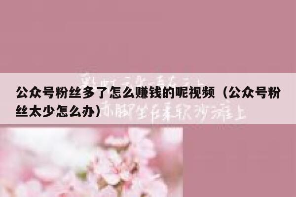 公众号粉丝多了怎么赚钱的呢视频（公众号粉丝太少怎么办） 第1张