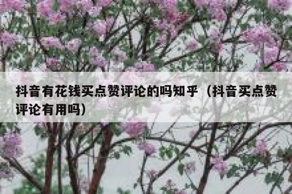 抖音有花钱买点赞评论的吗知乎（抖音买点赞评论有用吗） 第1张