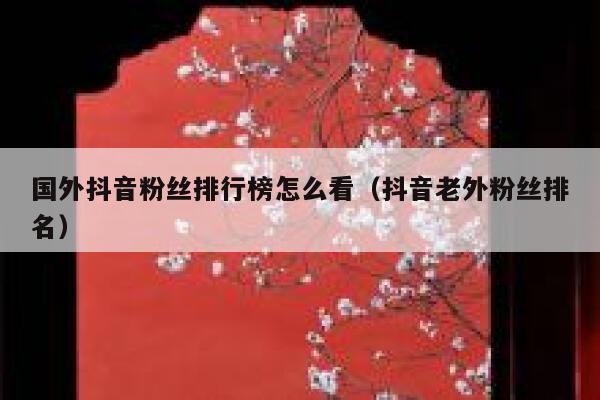 国外抖音粉丝排行榜怎么看（抖音老外粉丝排名） 第1张
