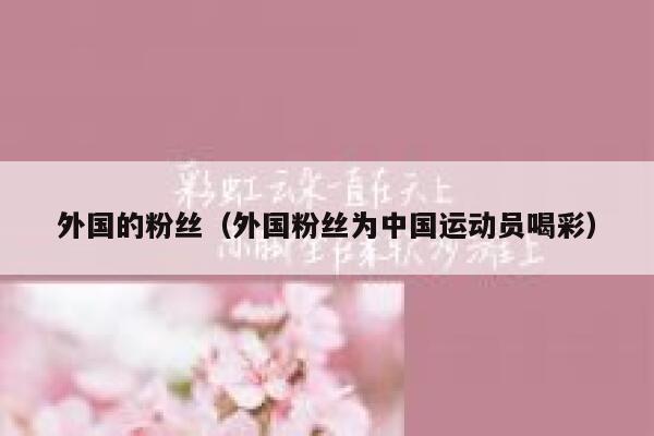 外国的粉丝（外国粉丝为中国运动员喝彩） 第1张