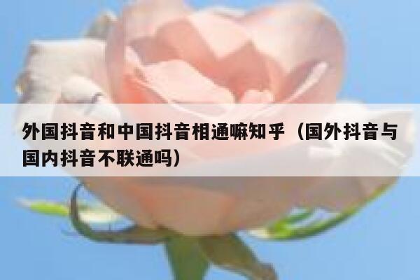 外国抖音和中国抖音相通嘛知乎（国外抖音与国内抖音不联通吗） 第1张
