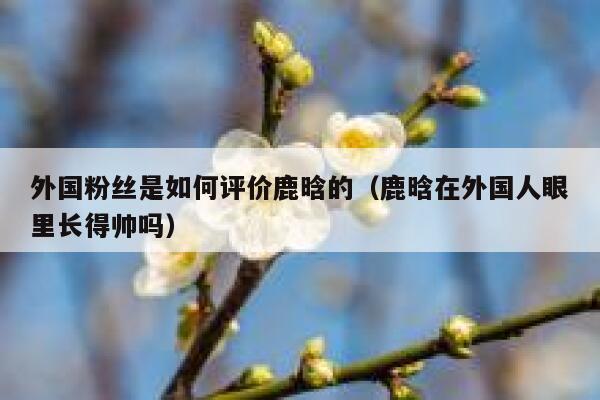 外国粉丝是如何评价鹿晗的（鹿晗在外国人眼里长得帅吗） 第1张