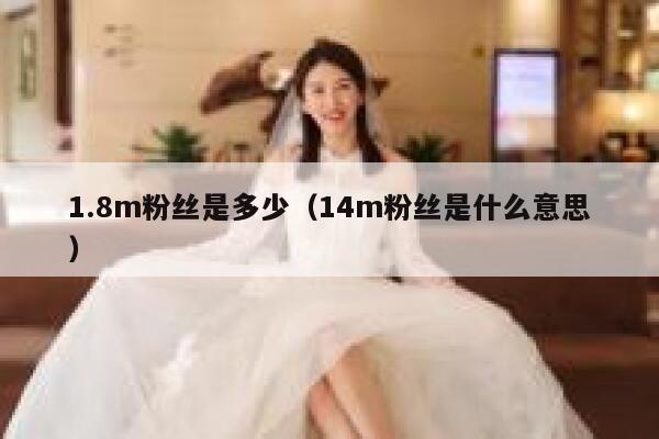 1.8m粉丝是多少（14m粉丝是什么意思） 第1张