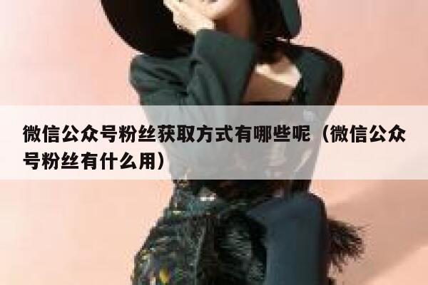 微信公众号粉丝获取方式有哪些呢（微信公众号粉丝有什么用） 第1张