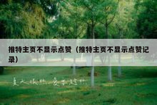推特主页不显示点赞（推特主页不显示点赞记录） 第1张