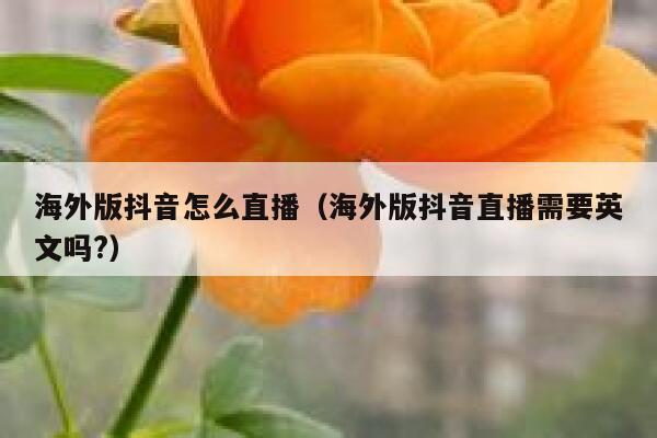 海外版抖音怎么直播（海外版抖音直播需要英文吗?） 第1张