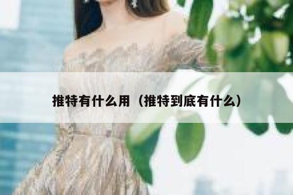 推特有什么用（推特到底有什么） 第1张