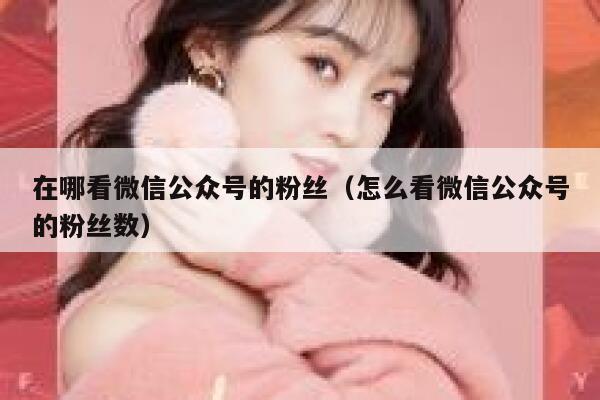 在哪看微信公众号的粉丝（怎么看微信公众号的粉丝数） 第1张