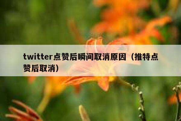 twitter点赞后瞬间取消原因（推特点赞后取消） 第1张
