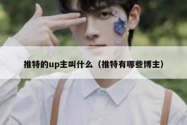 推特的up主叫什么（推特有哪些博主） 第1张