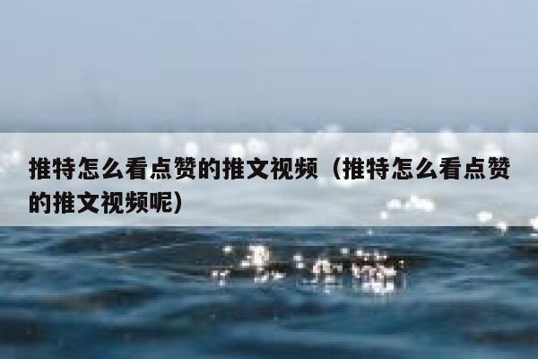 推特怎么看点赞的推文视频（推特怎么看点赞的推文视频呢） 第1张