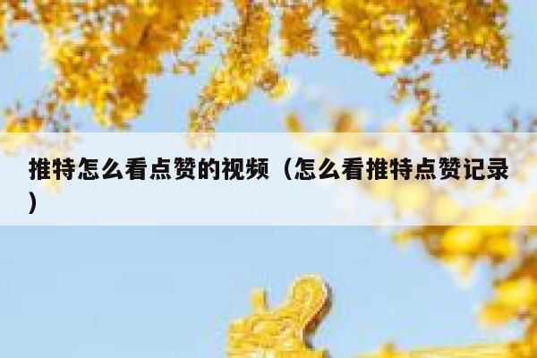 推特怎么看点赞的视频（怎么看推特点赞记录） 第1张