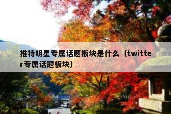 推特明星专属话题板块是什么（twitter专属话题板块） 第1张
