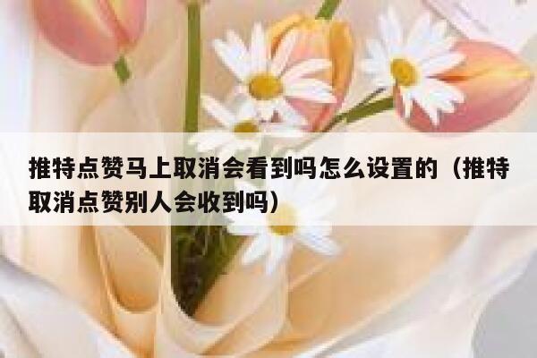 推特点赞马上取消会看到吗怎么设置的（推特取消点赞别人会收到吗） 第1张