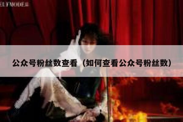 公众号粉丝数查看（如何查看公众号粉丝数） 第1张