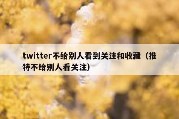 twitter不给别人看到关注和收藏（推特不给别人看关注） 第1张