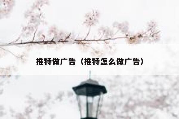 推特做广告（推特怎么做广告） 第1张