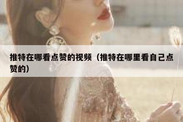 推特在哪看点赞的视频（推特在哪里看自己点赞的） 第1张