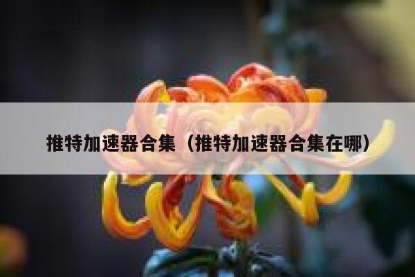 推特加速器合集（推特加速器合集在哪） 第1张