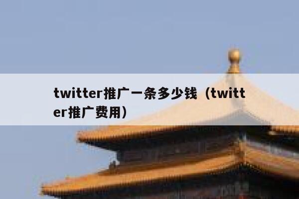 twitter推广一条多少钱（twitter推广费用） 第1张