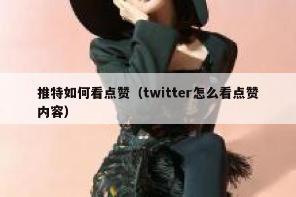 推特如何看点赞（twitter怎么看点赞内容） 第1张