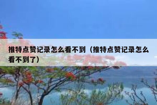 推特点赞记录怎么看不到（推特点赞记录怎么看不到了） 第1张