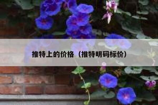 推特上的价格（推特明码标价） 第1张