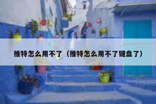 推特怎么用不了（推特怎么用不了键盘了） 第1张