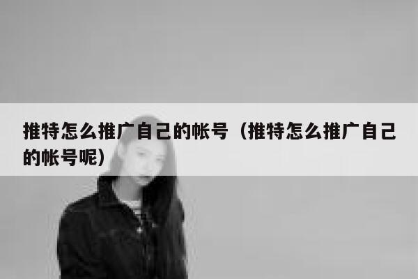 推特怎么推广自己的帐号（推特怎么推广自己的帐号呢） 第1张