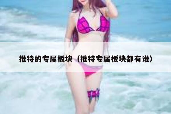推特的专属板块（推特专属板块都有谁） 第1张