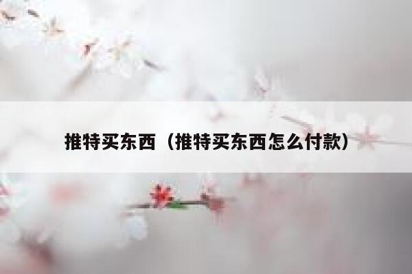 推特买东西（推特买东西怎么付款） 第1张