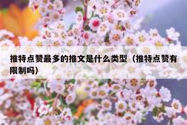 推特点赞最多的推文是什么类型（推特点赞有限制吗） 第1张