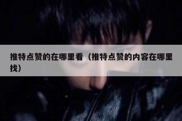 推特点赞的在哪里看（推特点赞的内容在哪里找） 第1张