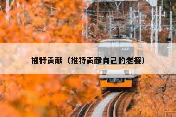 推特贡献（推特贡献自己的老婆） 第1张