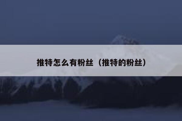 推特怎么有粉丝（推特的粉丝） 第1张